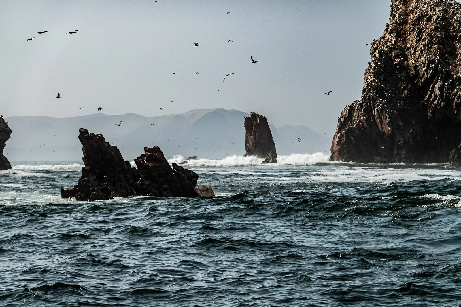 Seabirds above the rocky Ballestas Islands and Pacific water