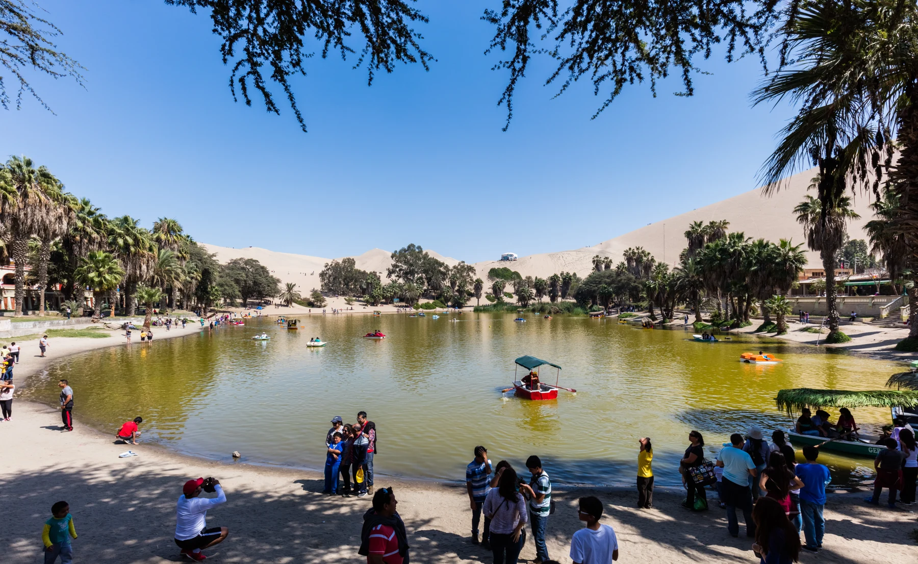 Huacachina lagoon seen from its shaded shore